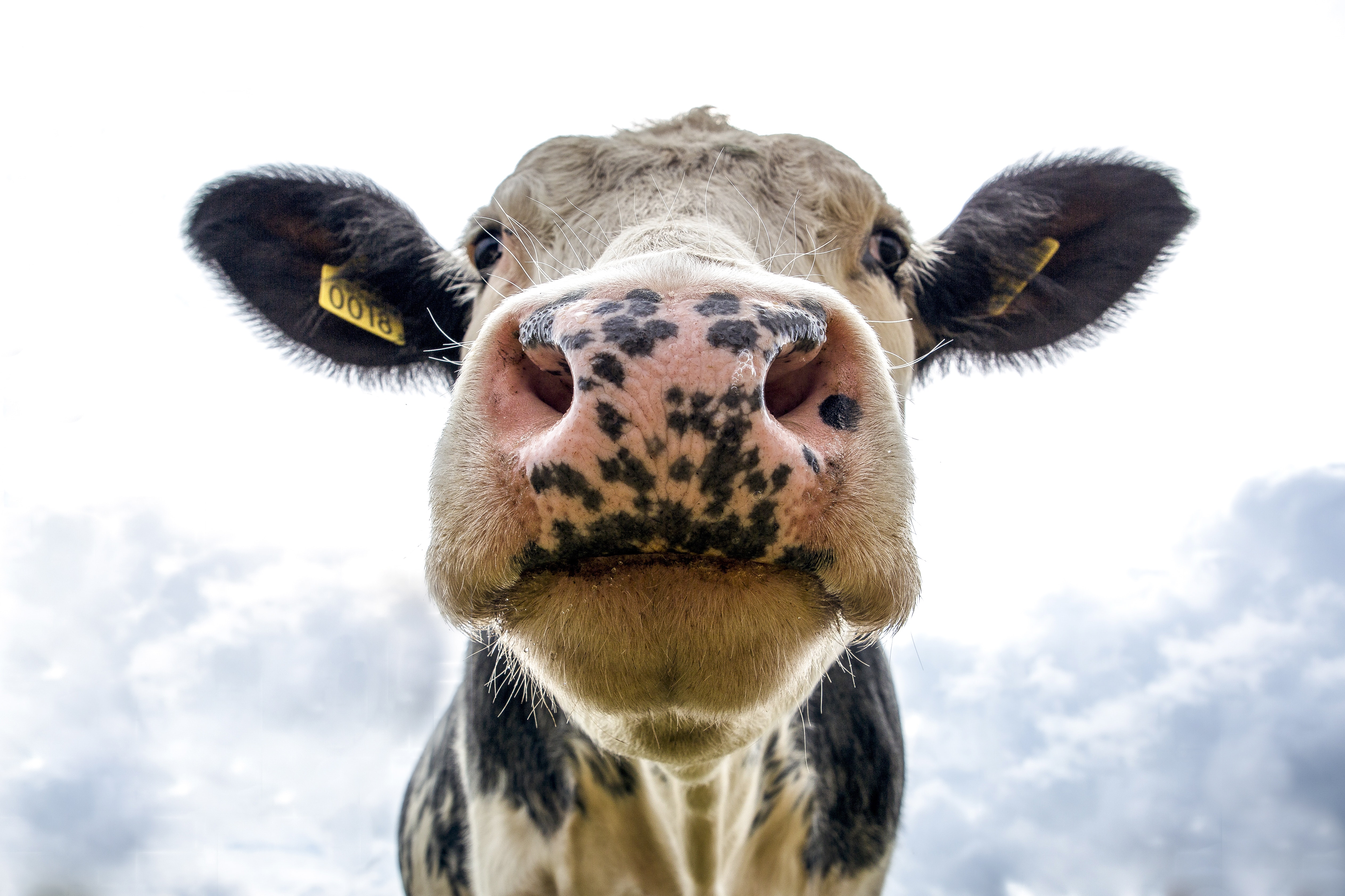 Castle Country Services - Agriculture